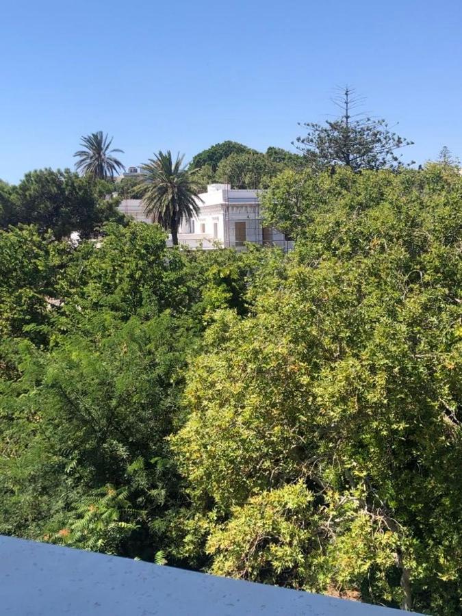 Paraskevi'S Apt - City Center W/ Lovely Park View Rhodes City Екстериор снимка